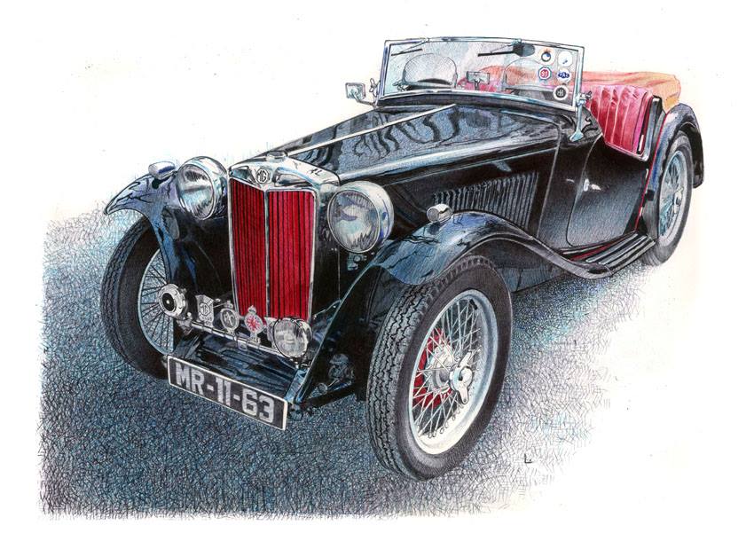mg-tc