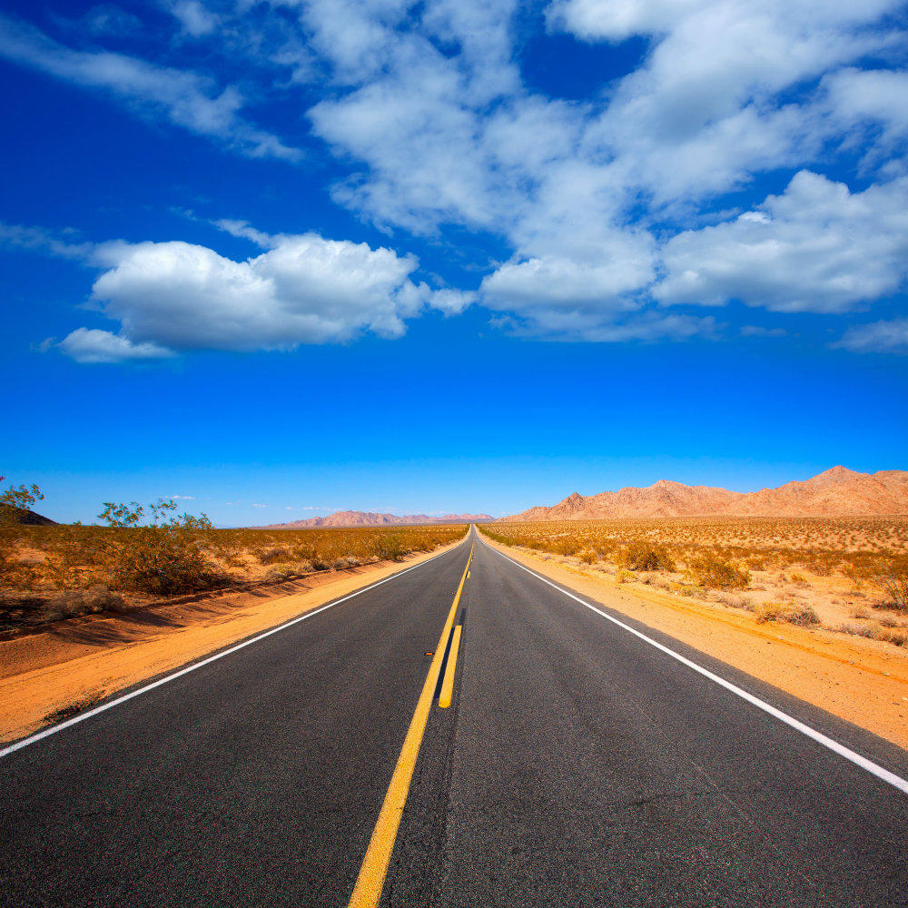 picture-11-route-66-t