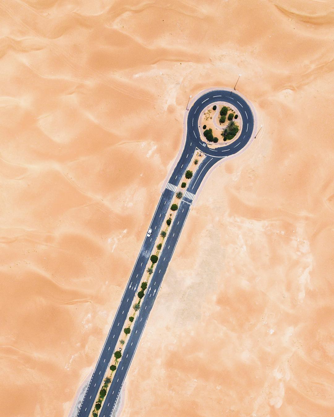 13722103_547053715477996_1730181925_n