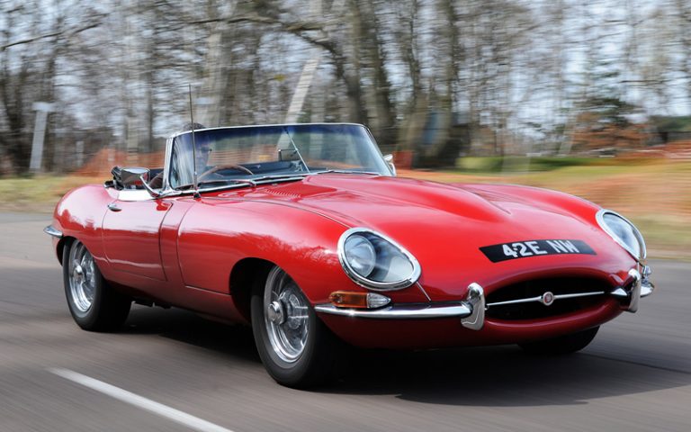 4-jaguar-768×480