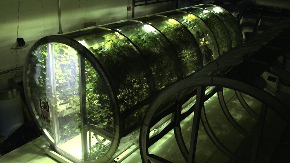 greenhouse1