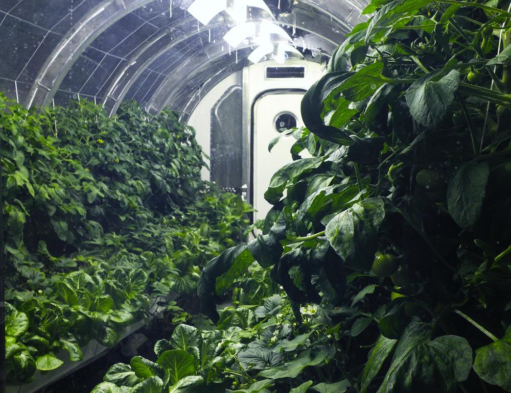 lunar_greenhouse_demo_u_of_az_09_b