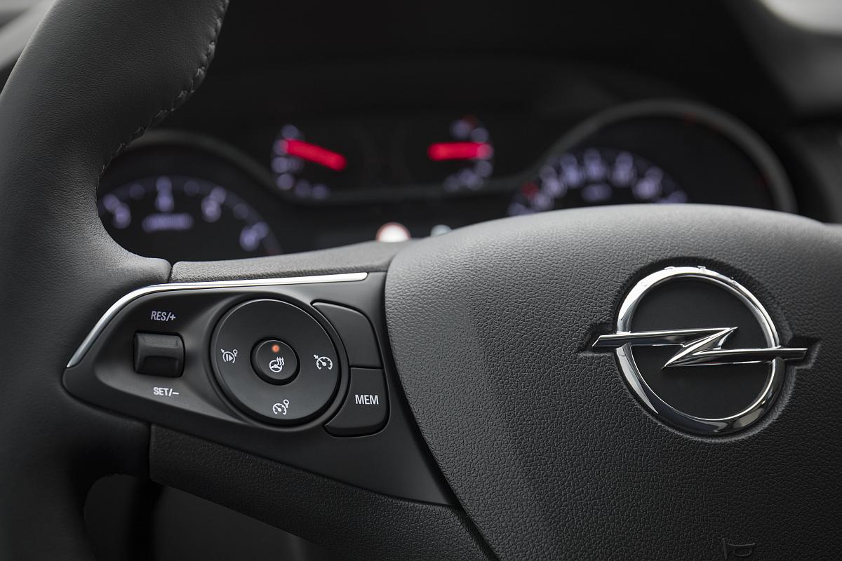 Grandland x (16)