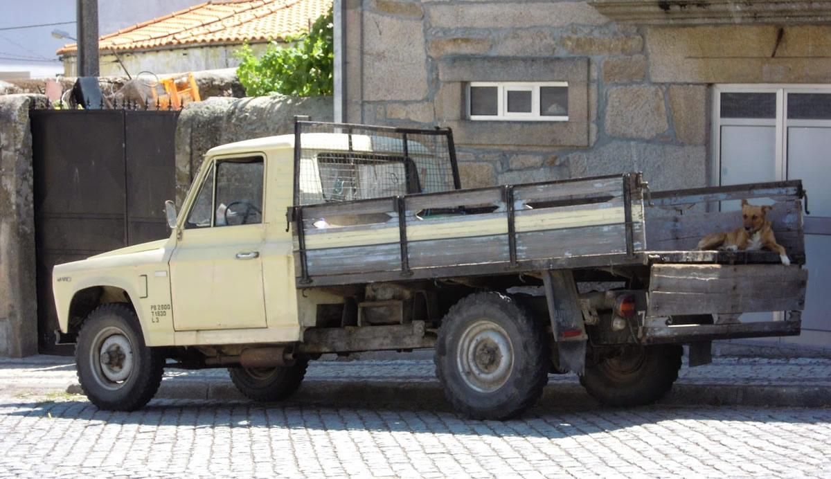 portaro28