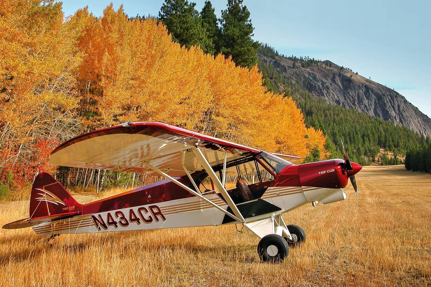 Carbon Top Cub