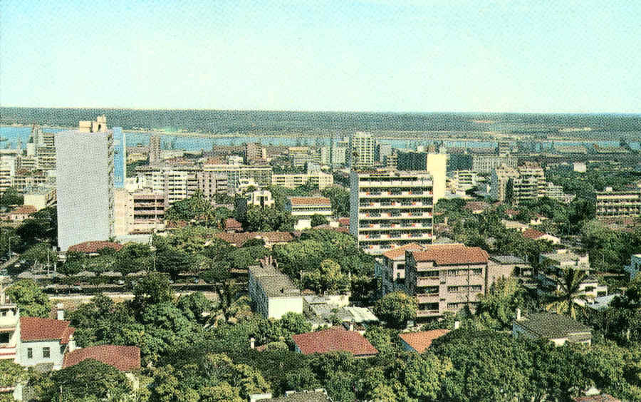 lourencomarques53