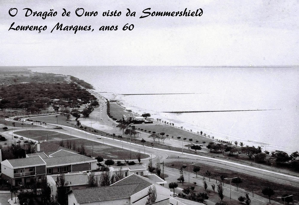 lourencomarques81