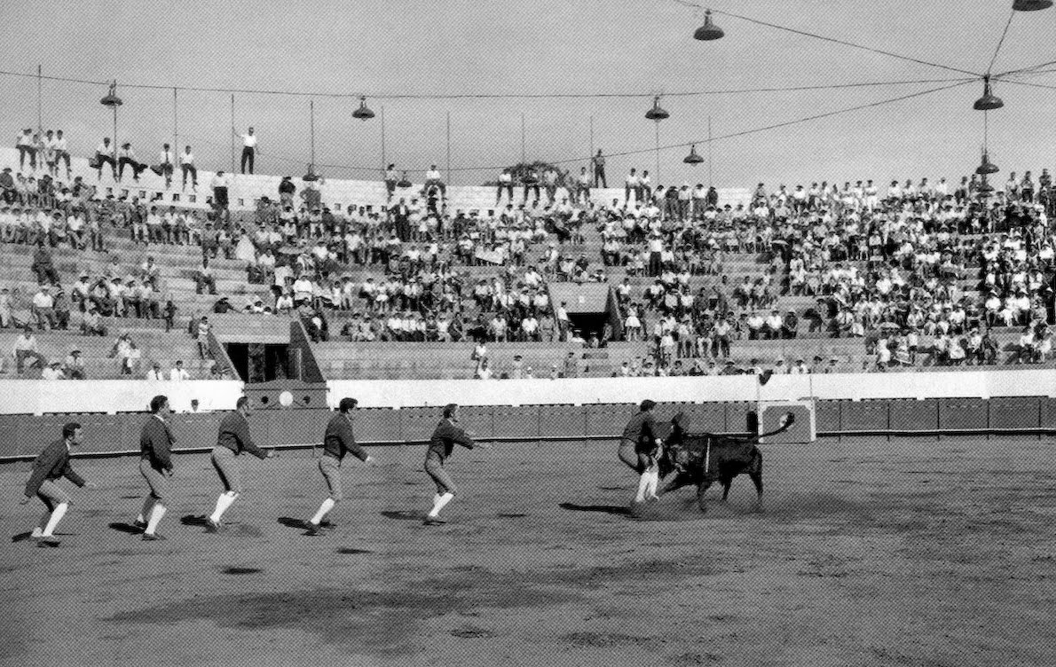 lourencomarques88