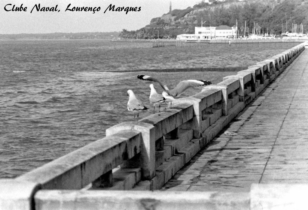 lourencomarques94