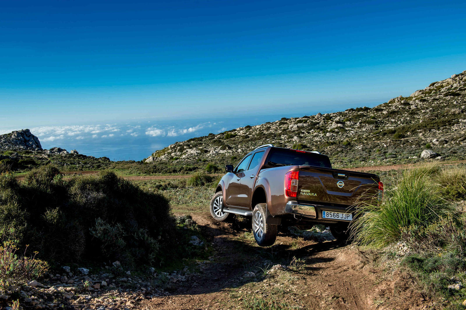 139506_Nissan Navara Double Cab (_)