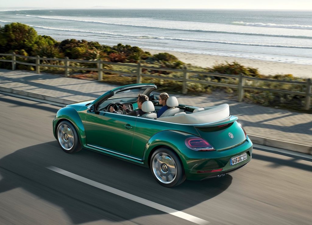 beetle-10-1024×738