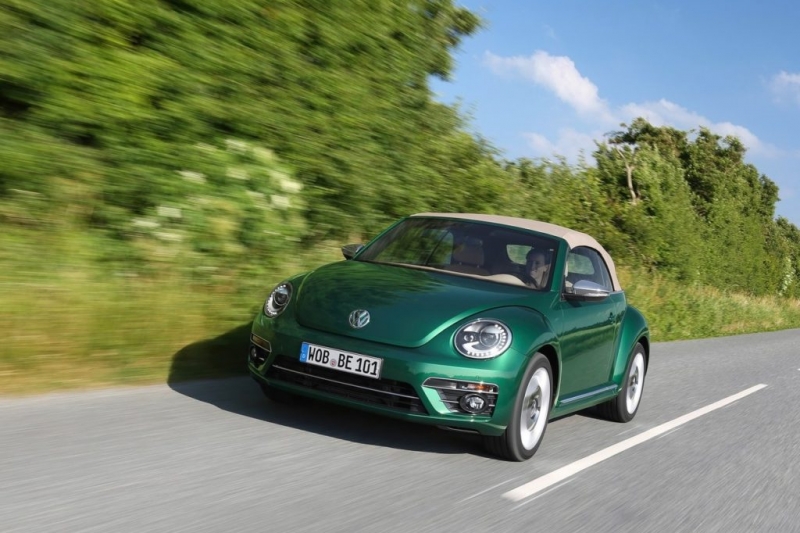 beetle-2-1024×719