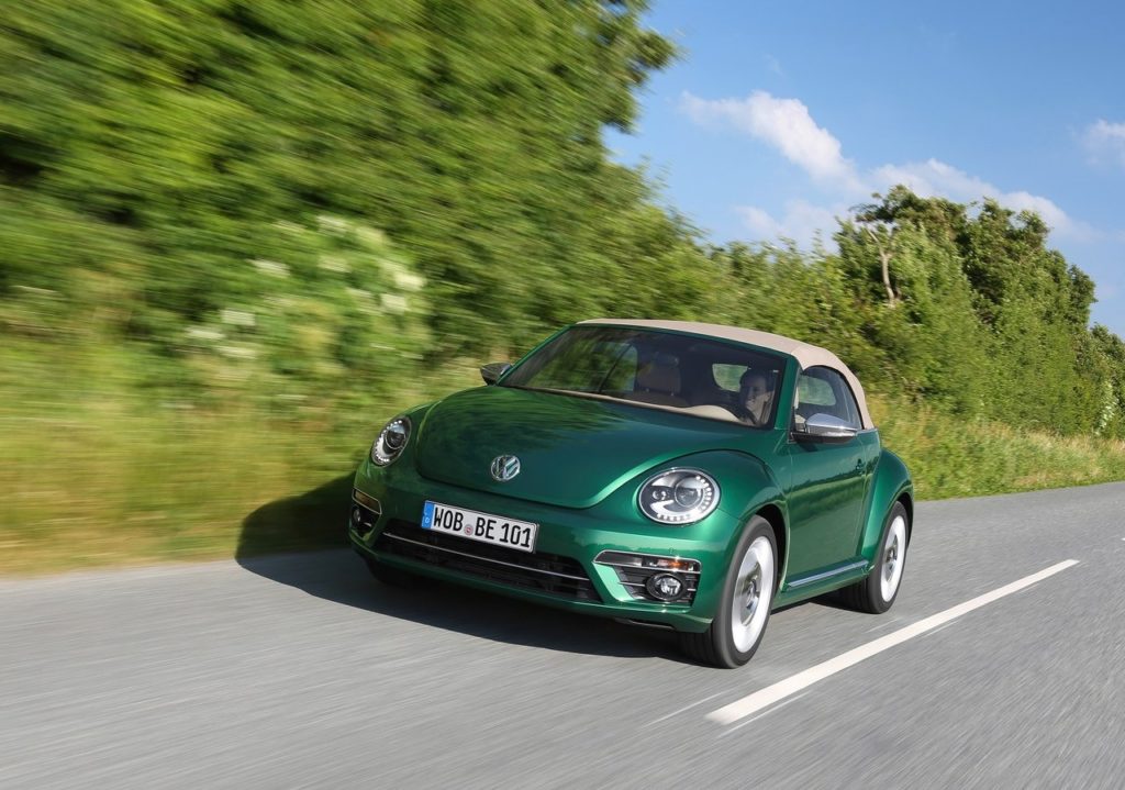 beetle-2-1024×719