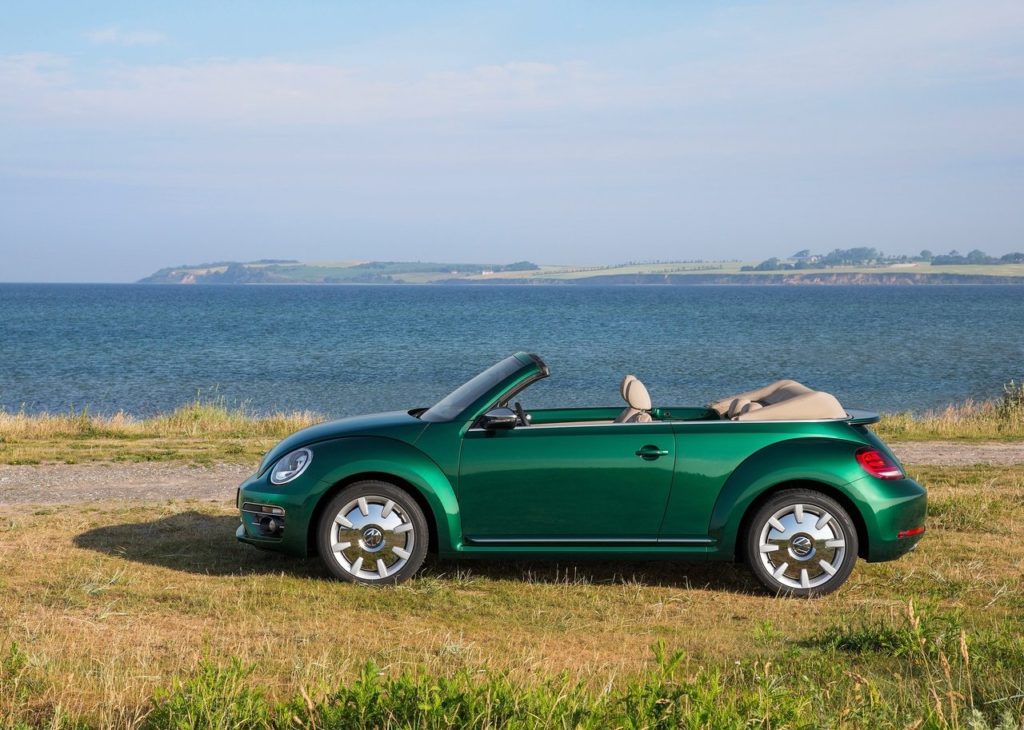 beetle-3-1024×730