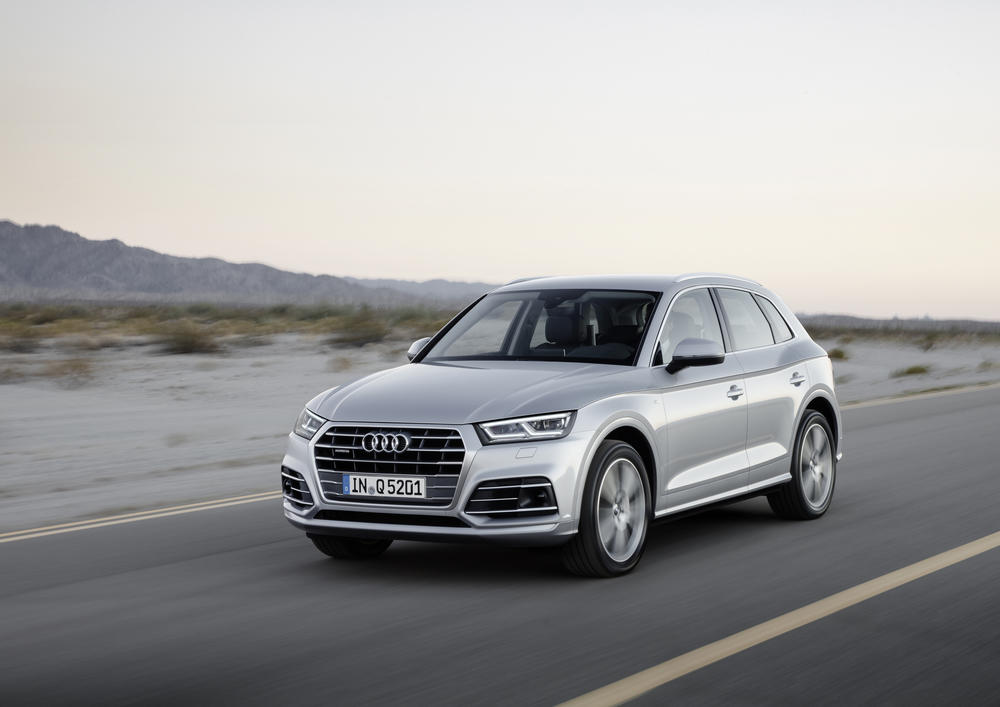 13 Audi (141 problemas por cada 100 carros)