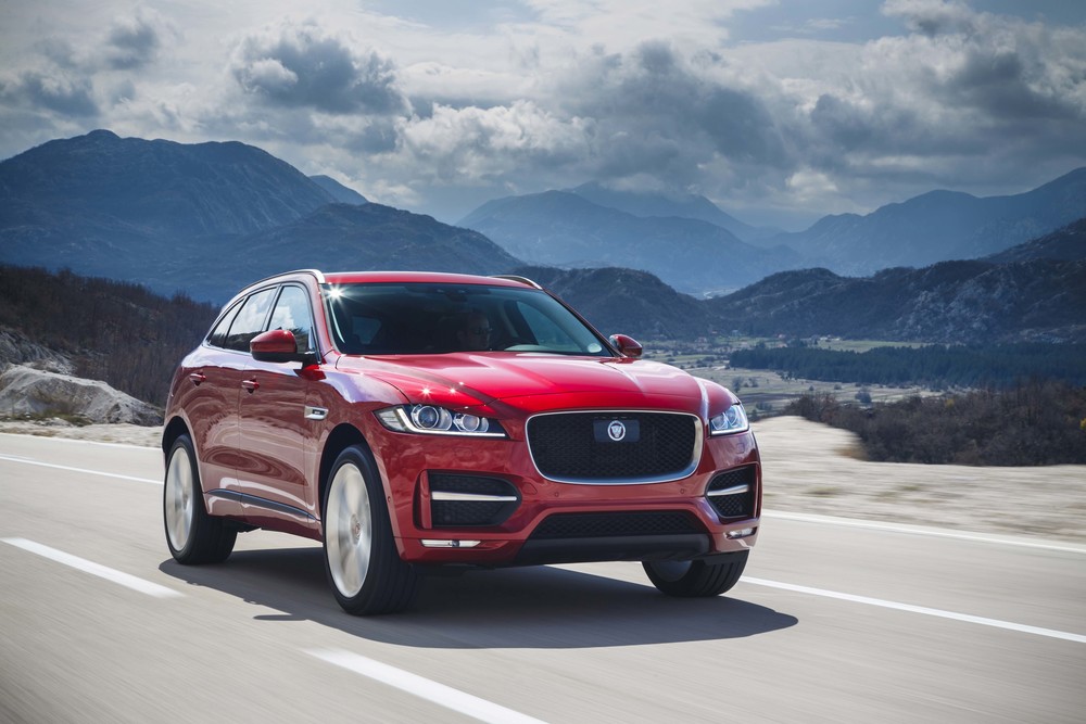 11-Jaguar