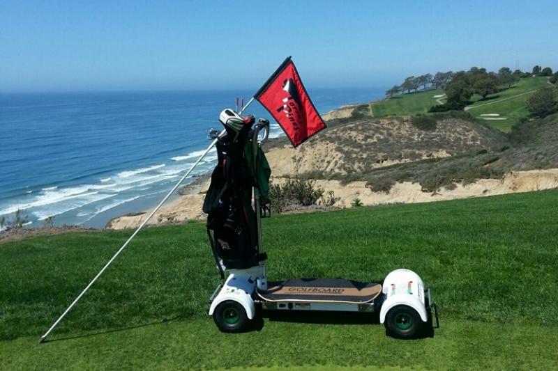 Torrey2