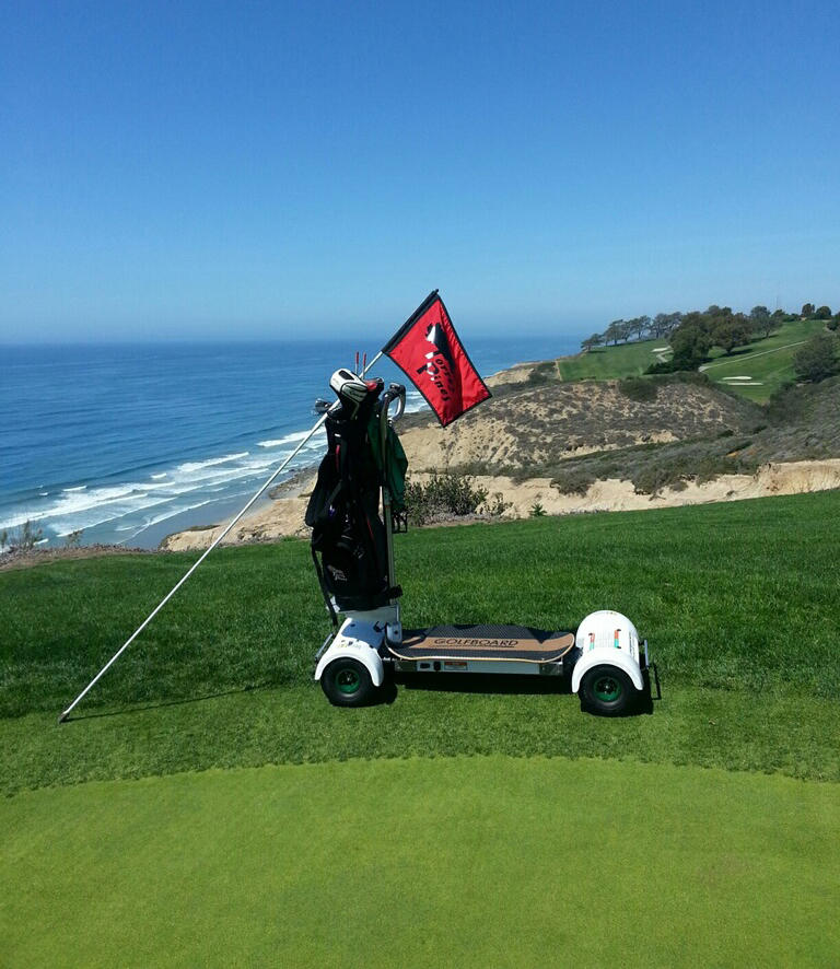 Torrey2