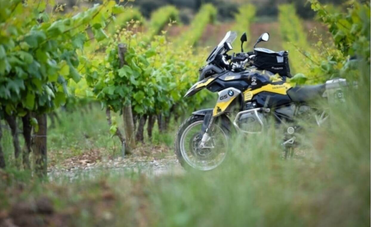 Hertz Ride (2)