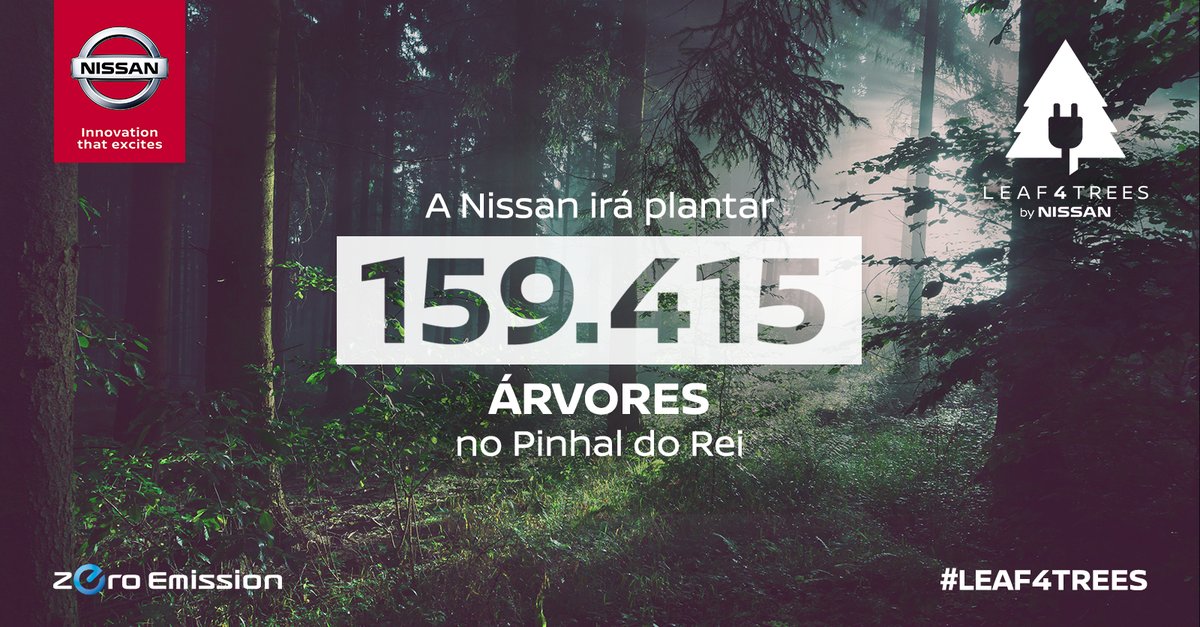arvore