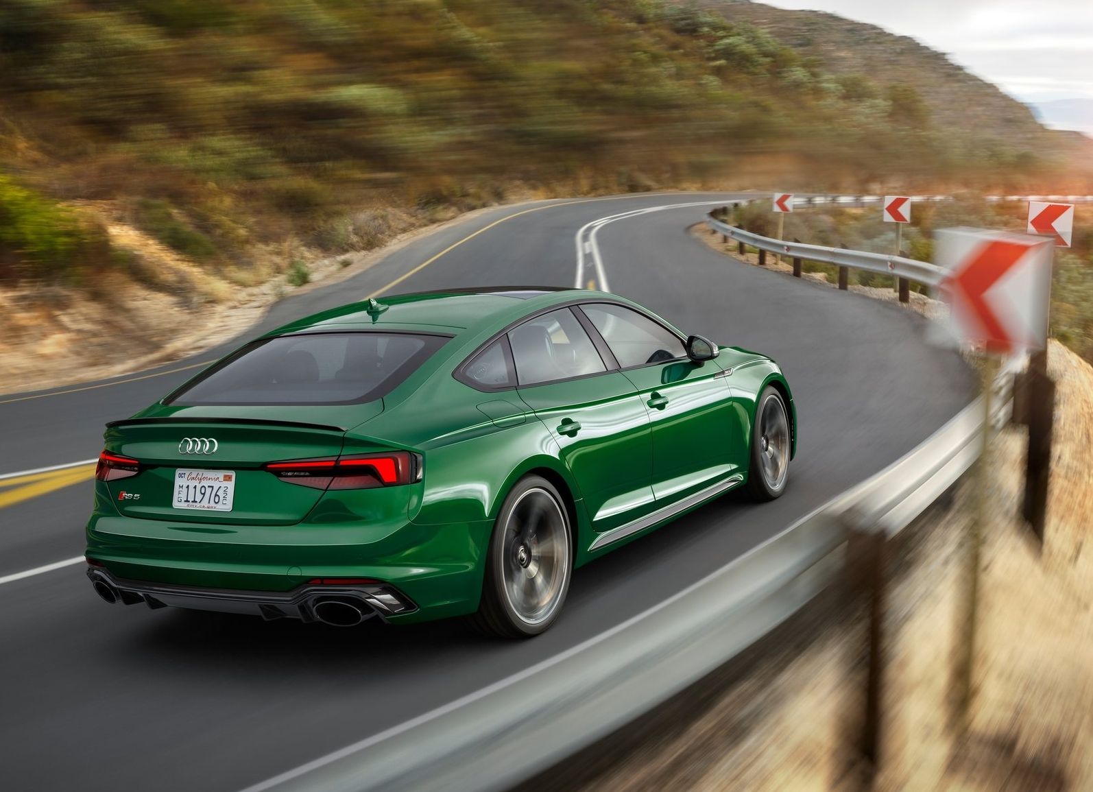 Audi-RS5_Sportback-2019-1600-13