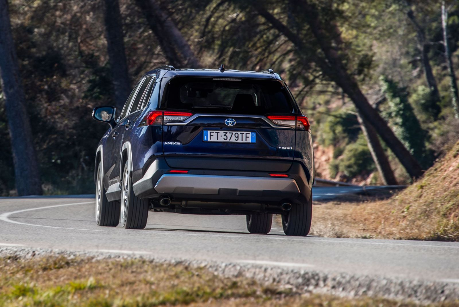 Dynamic_Blue_Rav4_2019_06