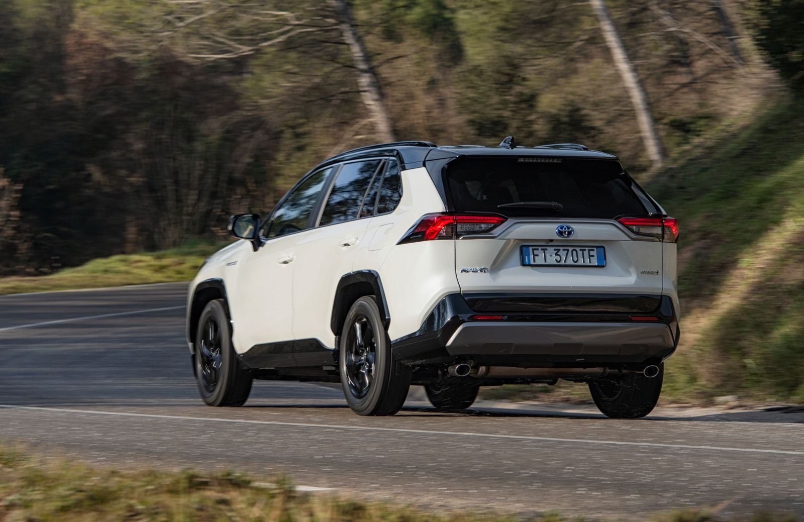 Toyota_Rav4_2019_01 (43)