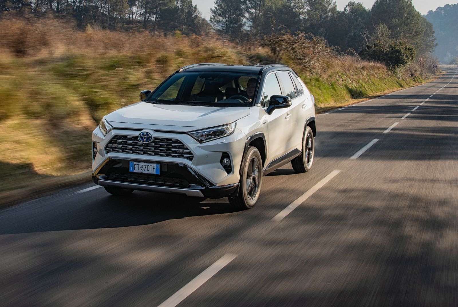 Toyota_Rav4_2019_01 (44)