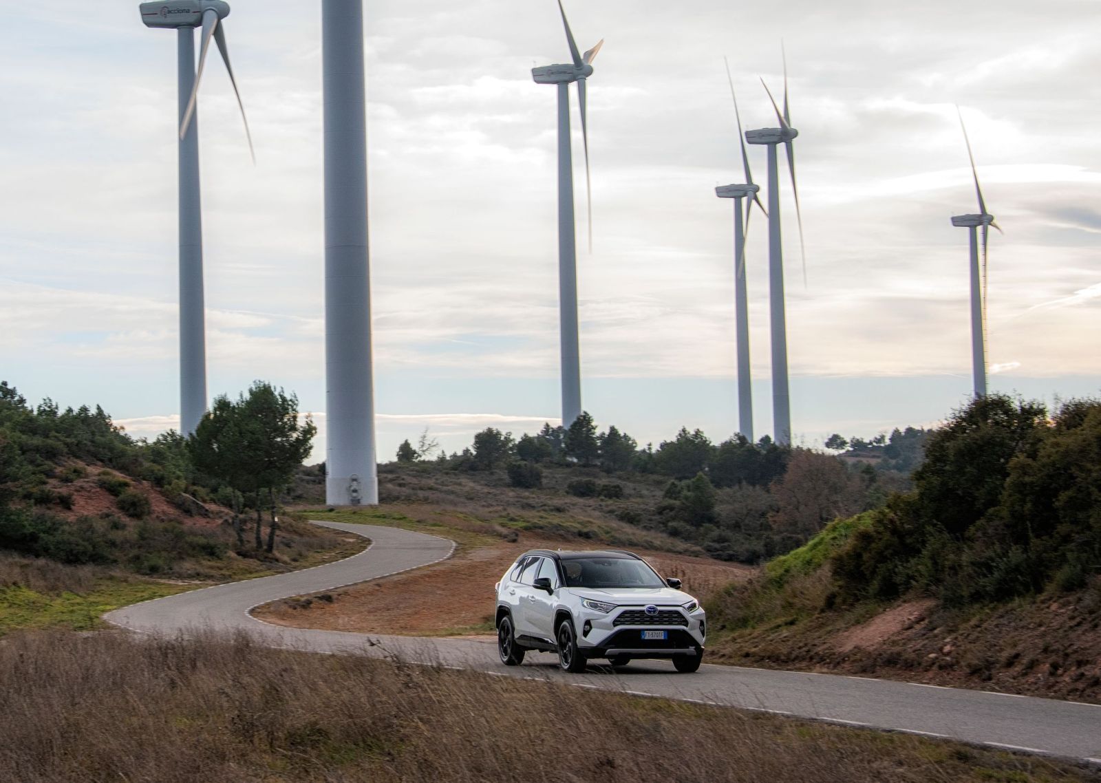 Toyota_Rav4_2019_01 (54)