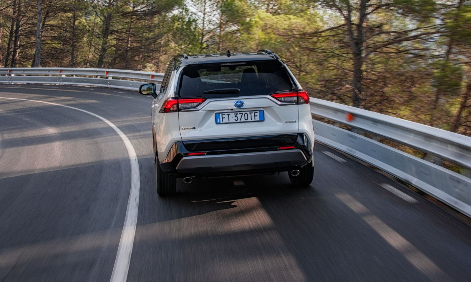 Toyota_Rav4_2019_01 (55)