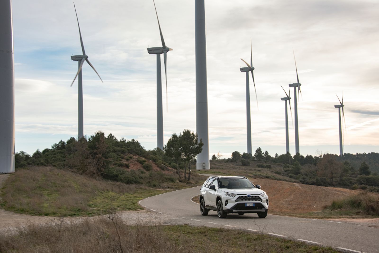 Toyota_Rav4_2019_01 (63)