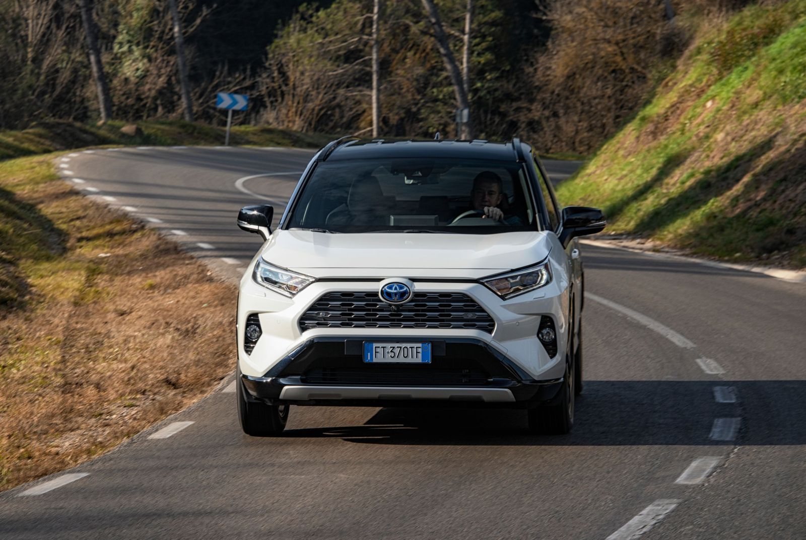 Toyota_Rav4_2019_01 (64)