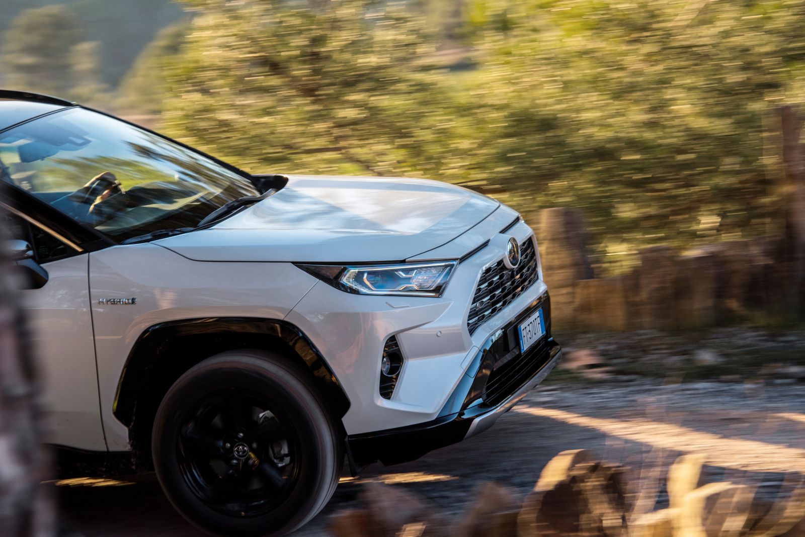 Toyota_Rav4_2019_01 (66)
