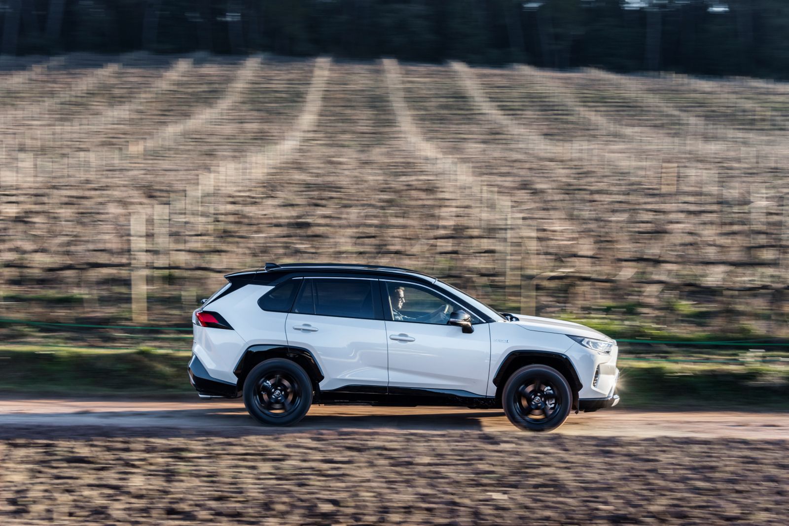 Toyota_Rav4_2019_01 (69)