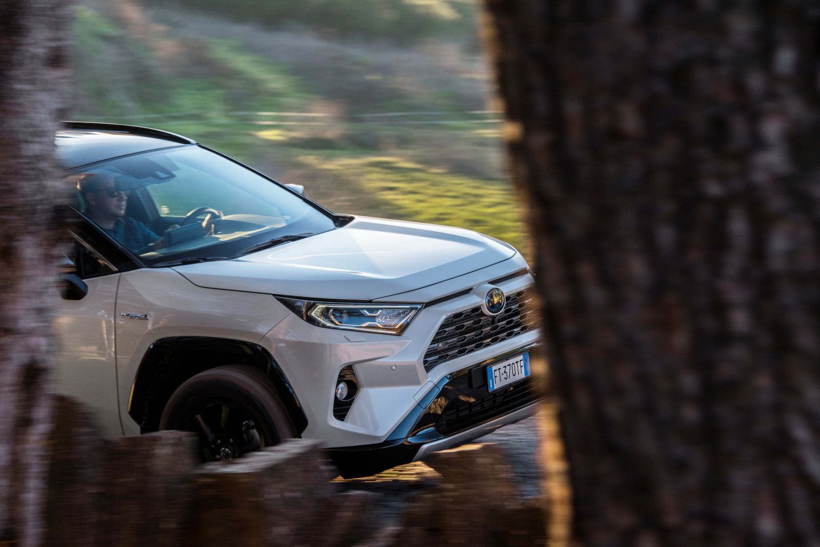 Toyota_Rav4_2019_01 (71)