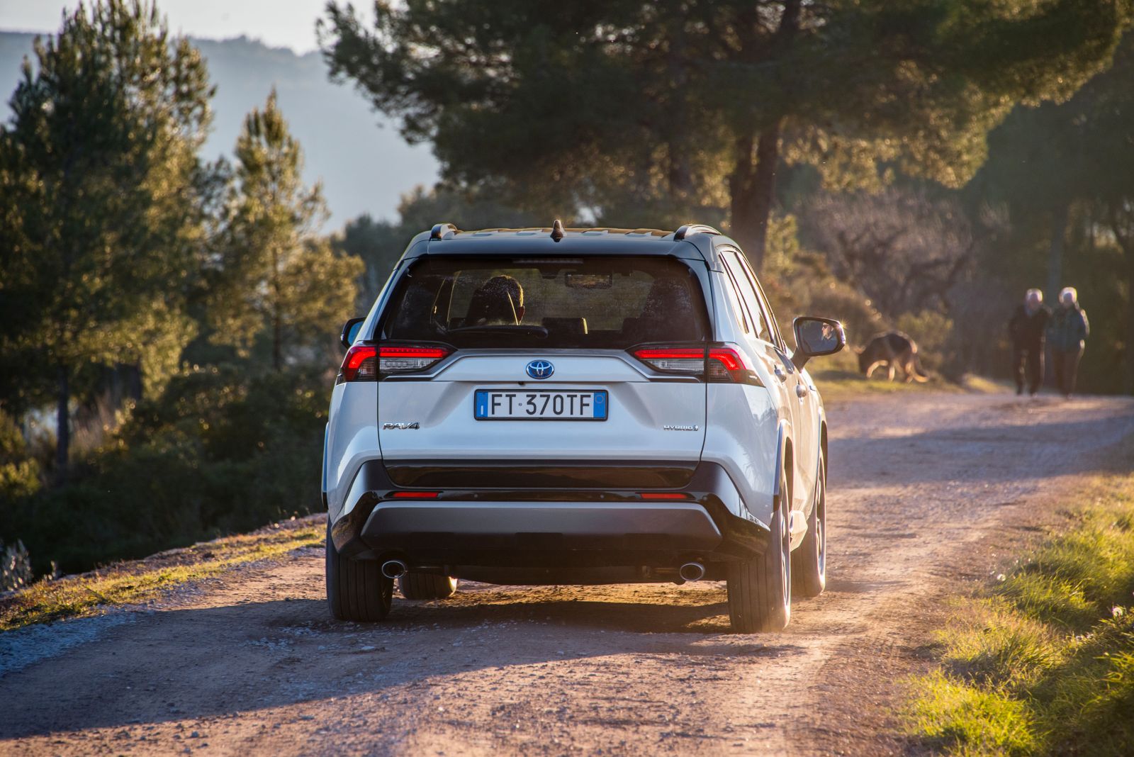 Toyota_Rav4_2019_01 (77)