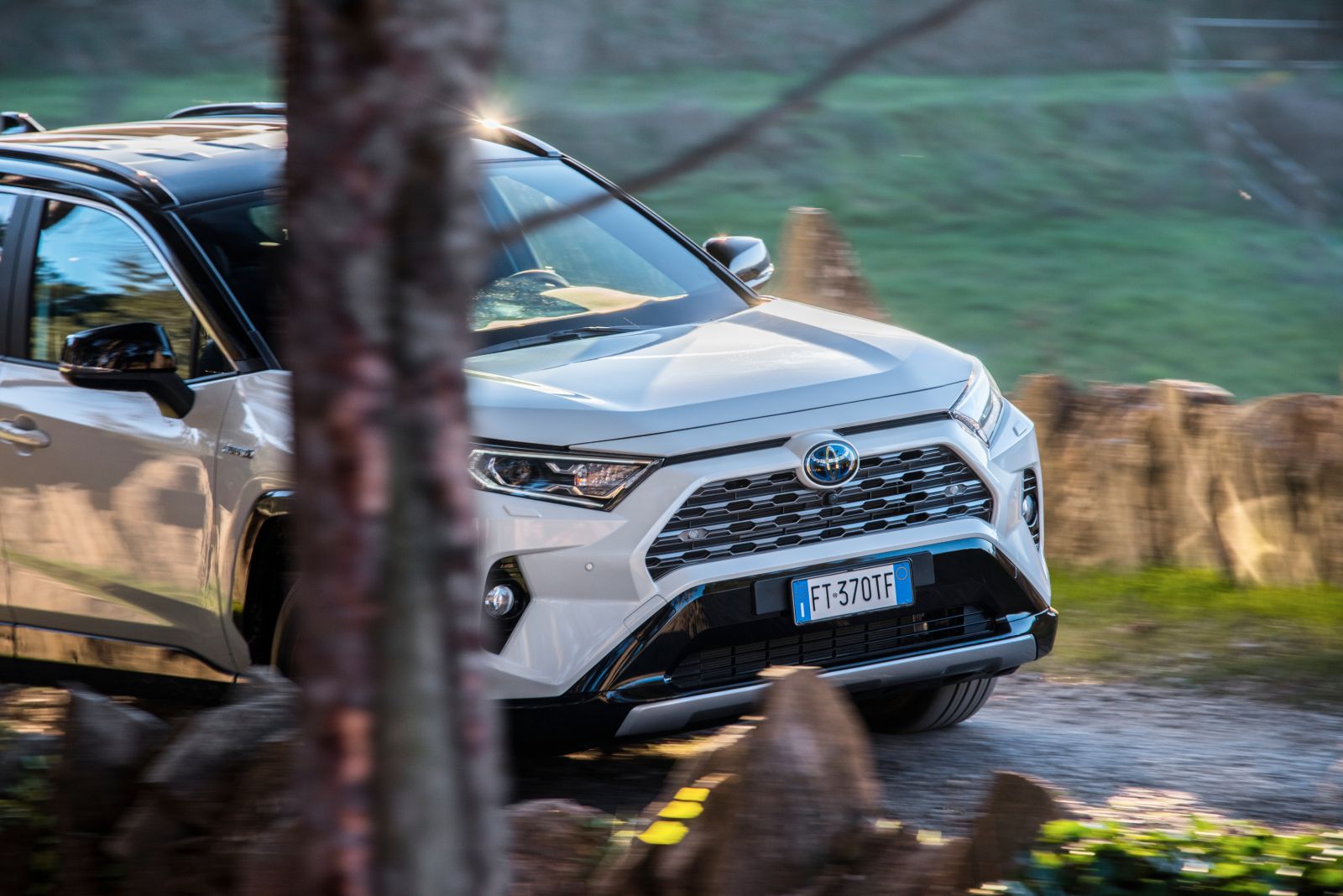 Toyota_Rav4_2019_01 (78)