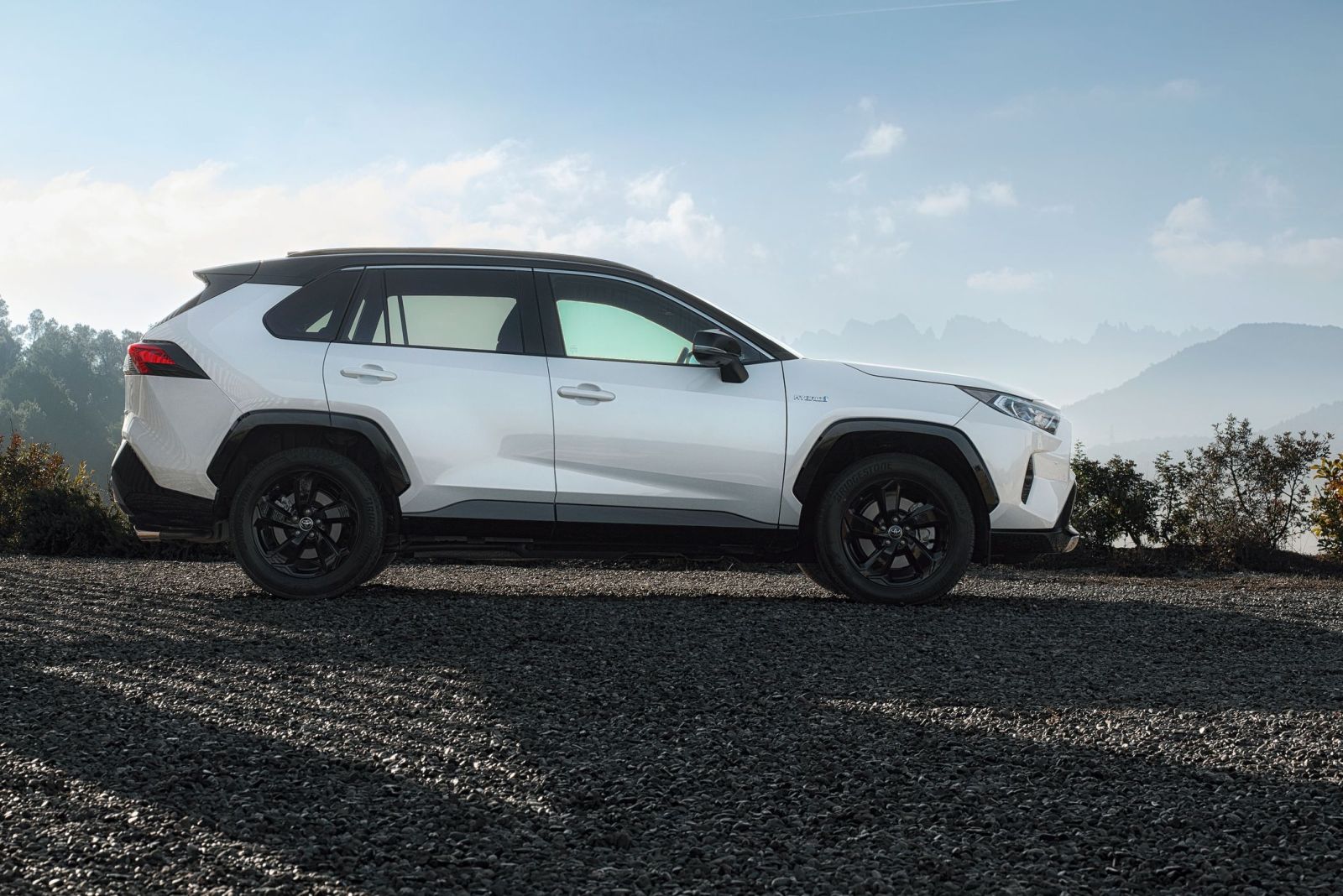 Toyota_Rav4_2019_01 (87)