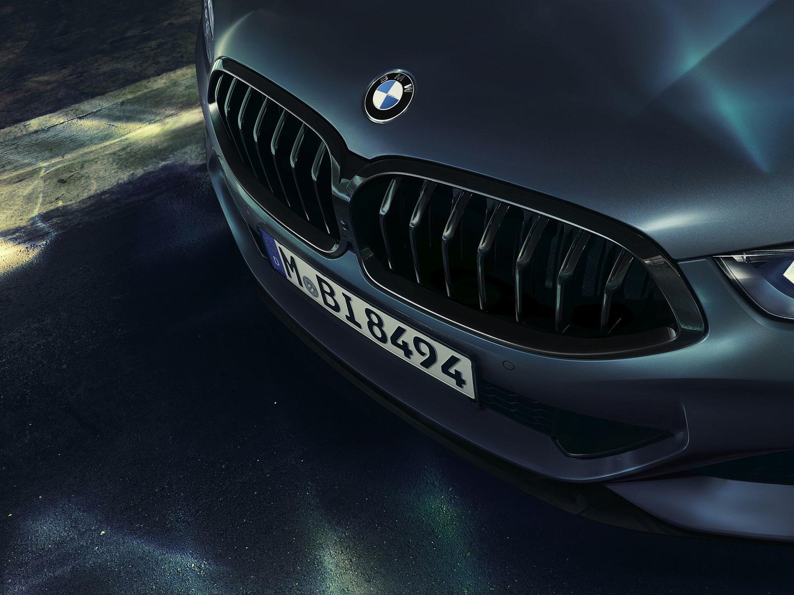 BMW M850i xDrive First Edition (7)