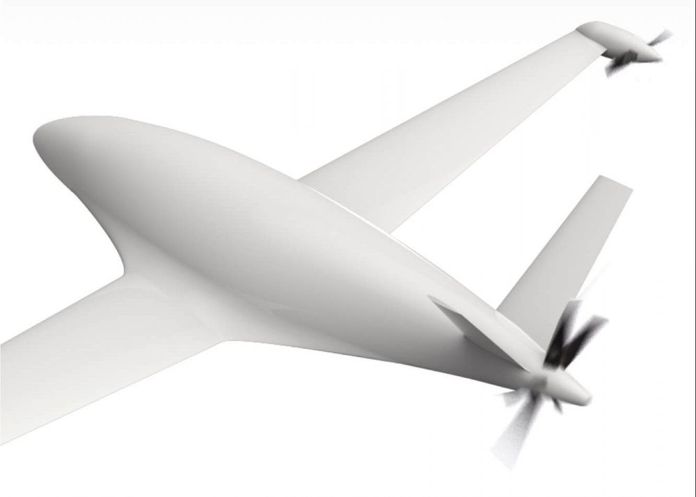 Orca-Image-2