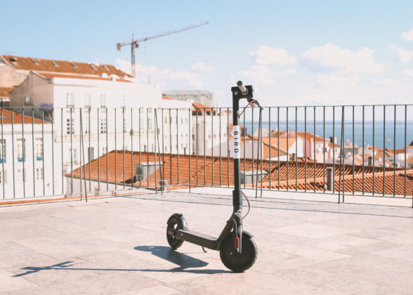 BIRD-LISBOA1-1-588×420