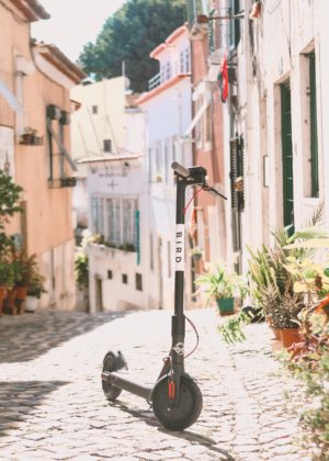 BIRD-LISBOA3-300×420