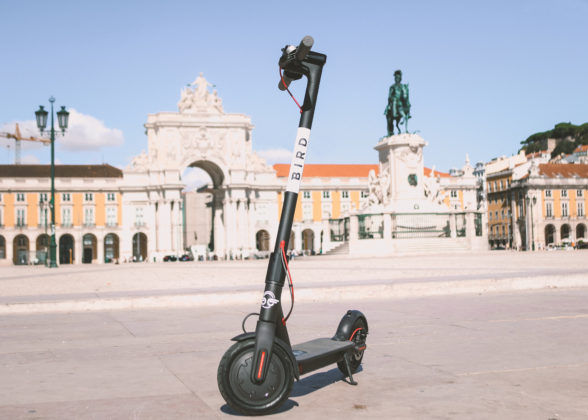 BIRD-LISBOA5-1-588×420