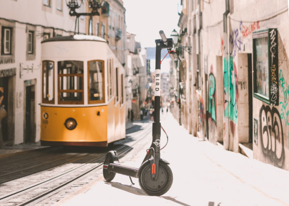 BIRD-LISBOA7-588×420