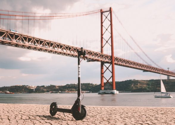 BIRD-LISBOA8-588×420