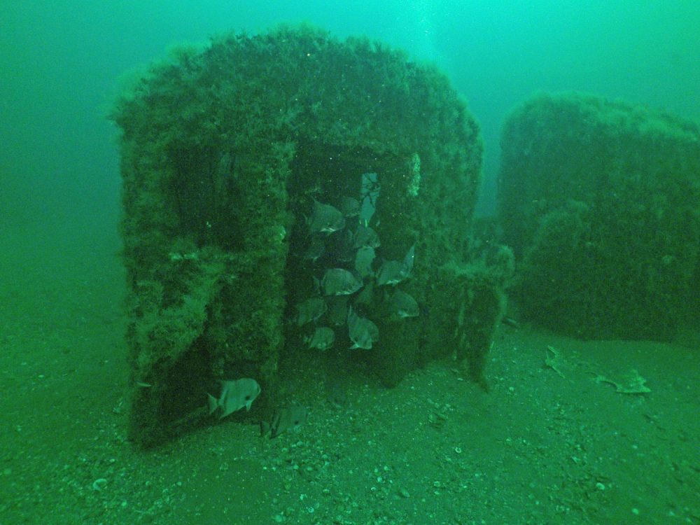 SeaLife DC1400