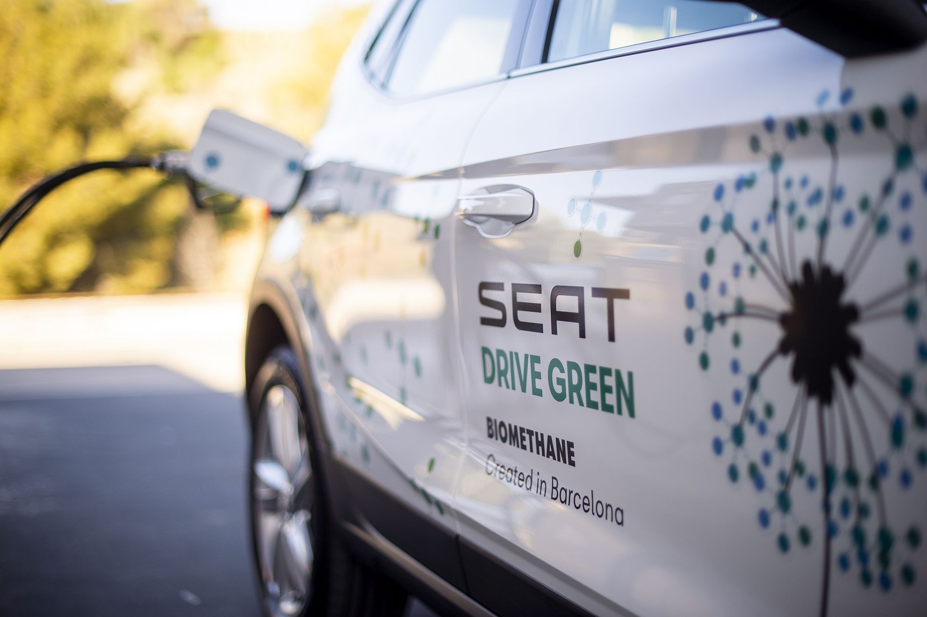 SEAT do lixo para o carro (4)
