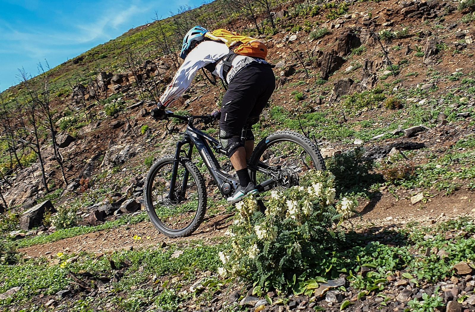 Cannondale Moterra Neo 3_ (13)