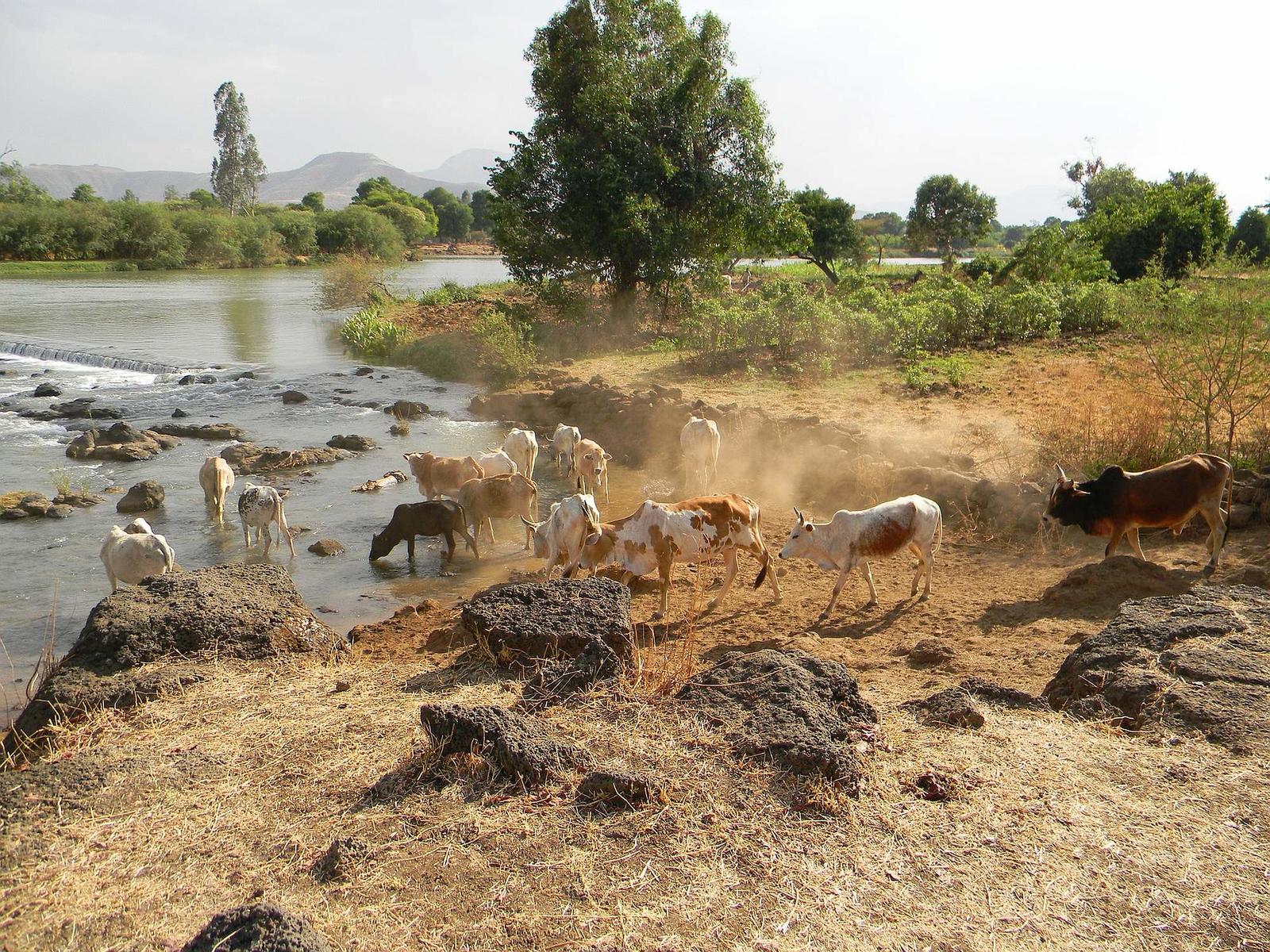 Etiopia_wdkunze_pixabay