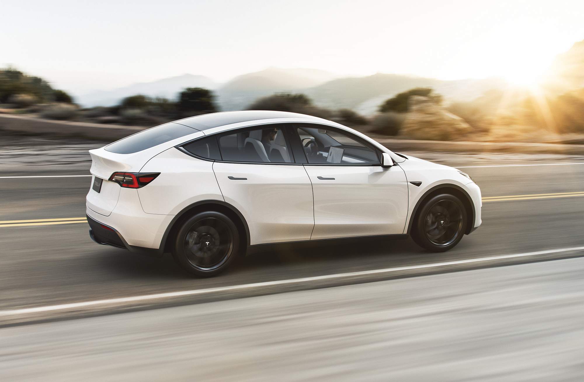 Model Y Sunset White